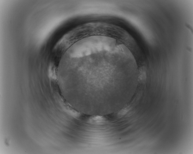 X0000099480431200805231900