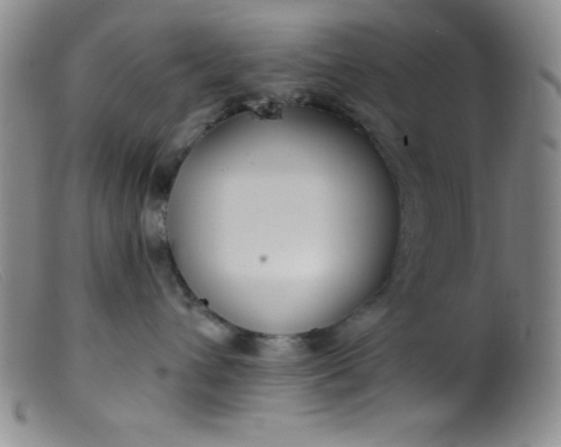 X0000099480432200805231900