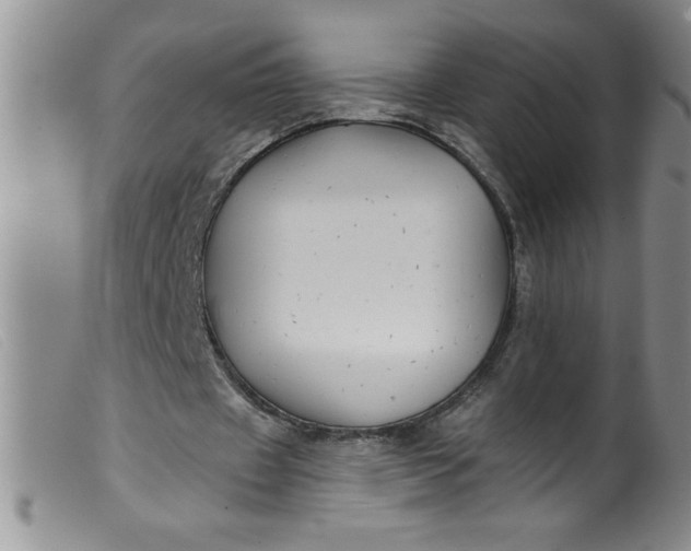 X0000099480433200805231859