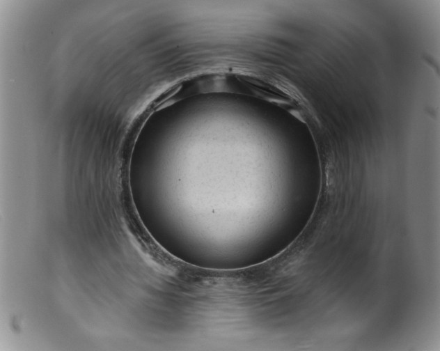 X0000099480436200805231859
