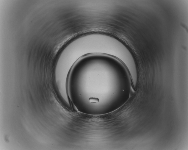 X0000099480444200805231859