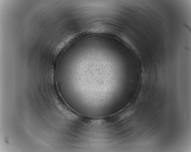 X0000099480446200805231859