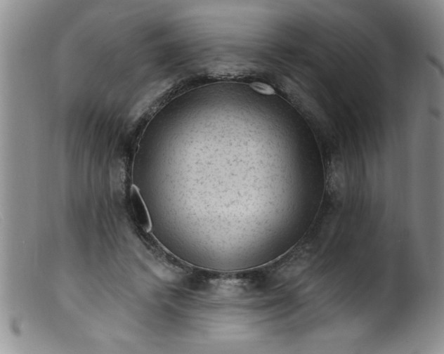 X0000099480448200805231859