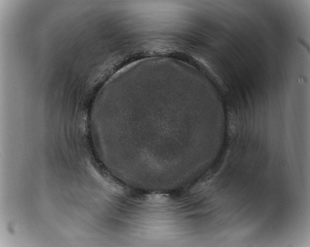 X0000099480451200805231859