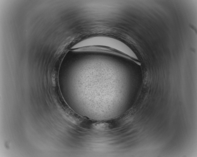 X0000099480452200805231859