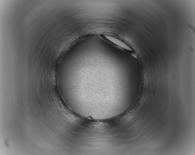 X0000099480453200805231859