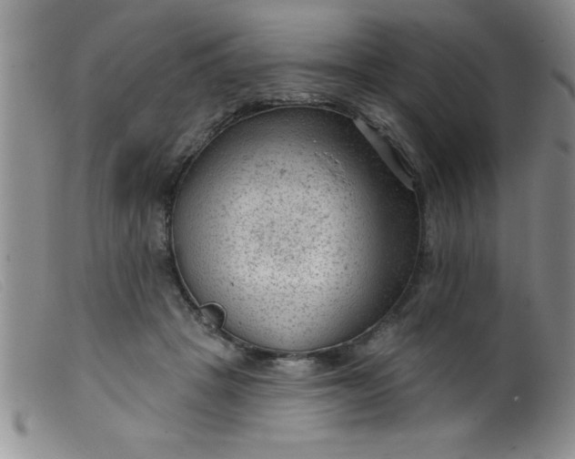 X0000099480457200805231859