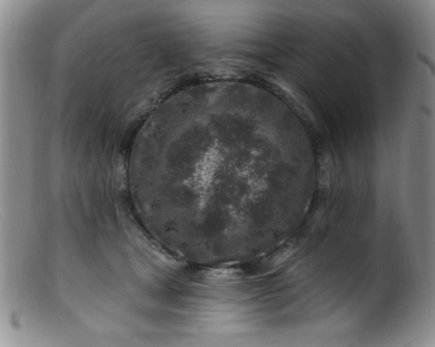 X0000099480465200805231859