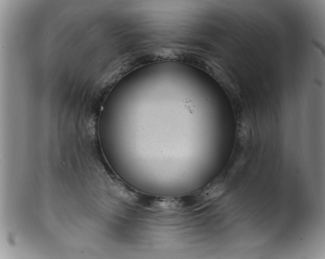 X0000099480466200805231859