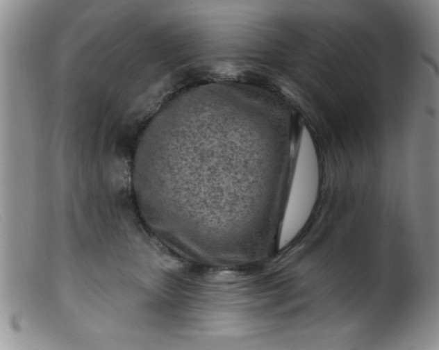X0000099480467200805231859