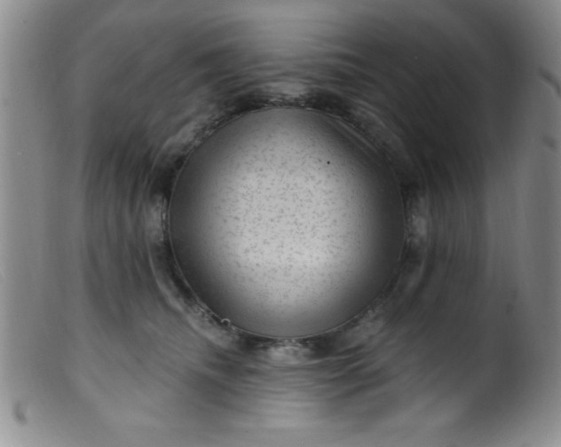 X0000099480468200805231859