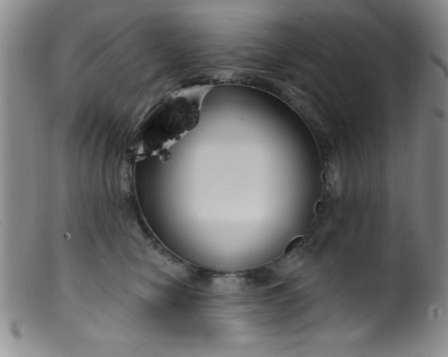 X0000099480470200805231900