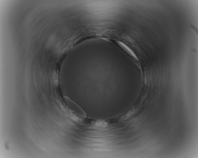 X0000099480471200805231900