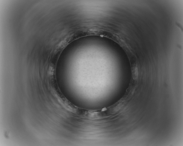 X0000099480472200805231900