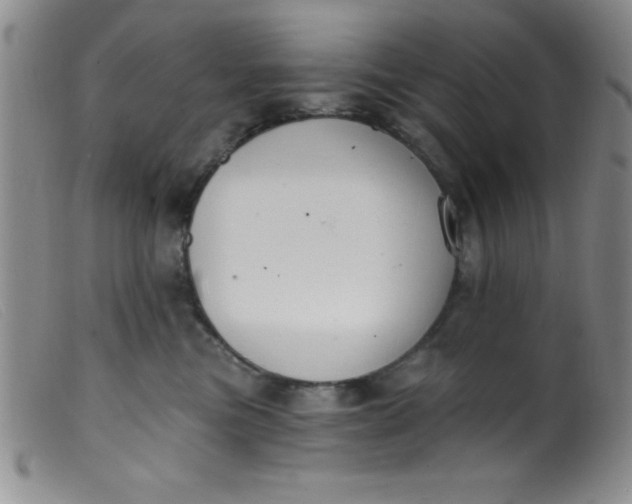 X0000099480473200805231900