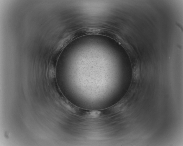 X0000099480474200805231900