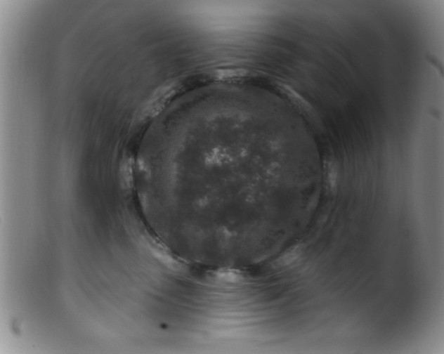 X0000099480475200805231900