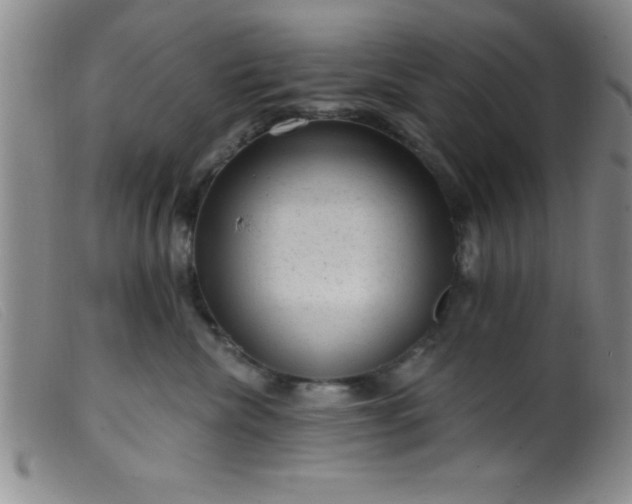 X0000099480476200805231900