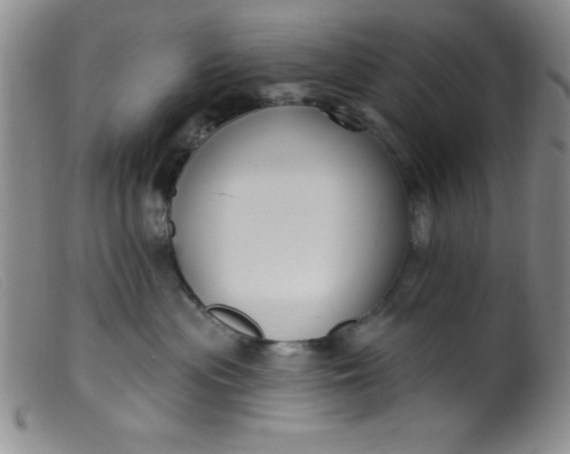 X0000099480477200805231900