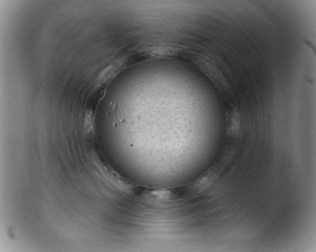 X0000099480478200805231900