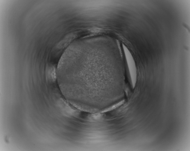 X0000099480479200805231900