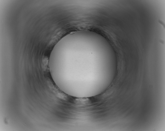 X0000099480480200805231900