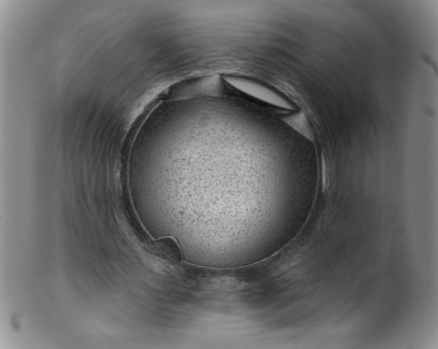 X0000099480483200805231859