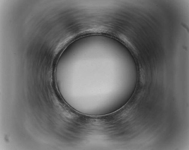 X0000099480486200805231859