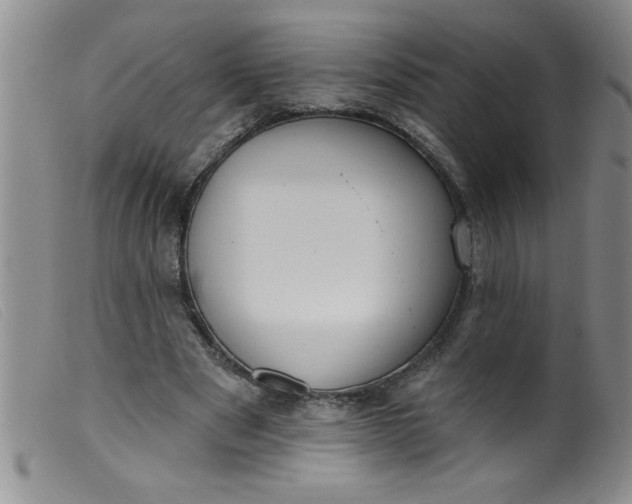 X0000099480489200805231859