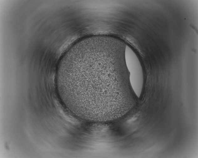 X0000099480491200805231859