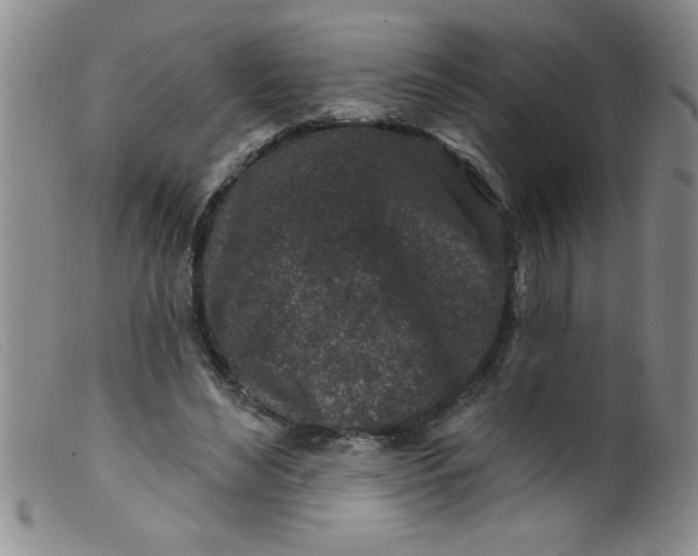 X0000099480492200805231859
