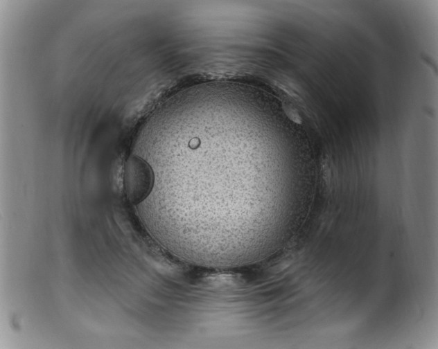 X0000099480499200805231859