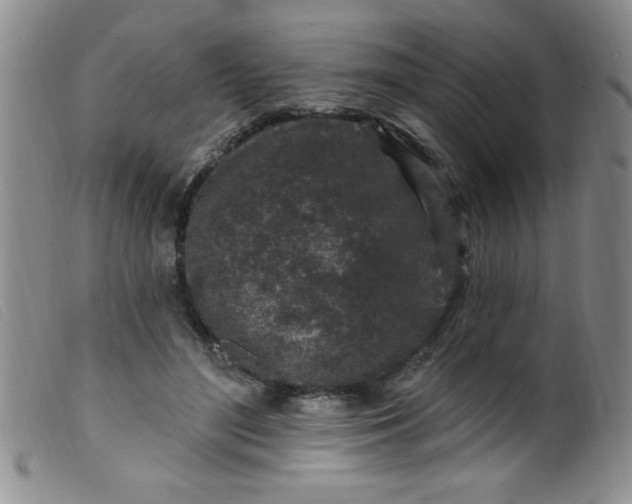 X0000099480500200805231859