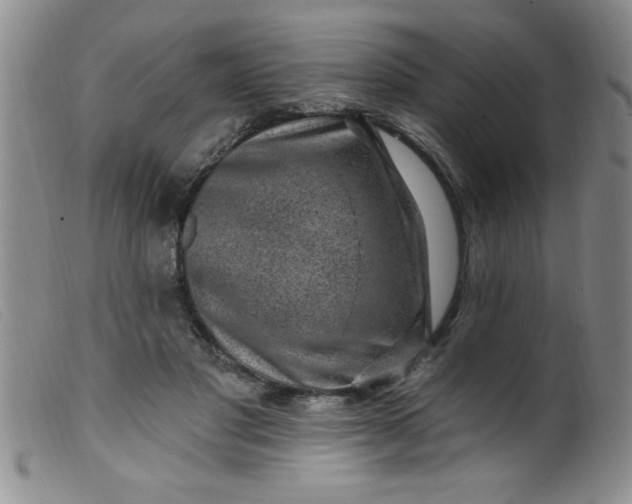 X0000099480501200805231859