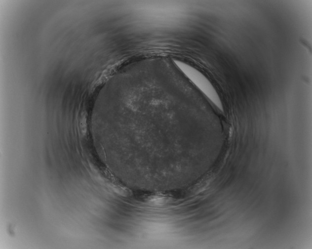 X0000099480504200805231859