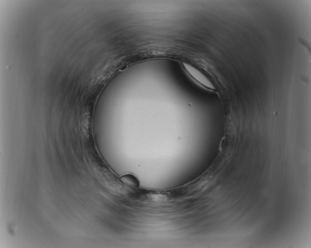 X0000099480509200805231859