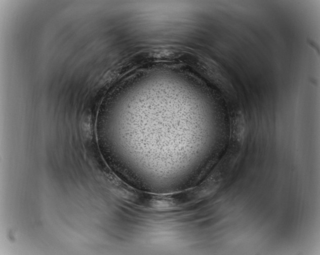 X0000099480510200805231859