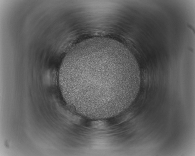 X0000099480511200805231859