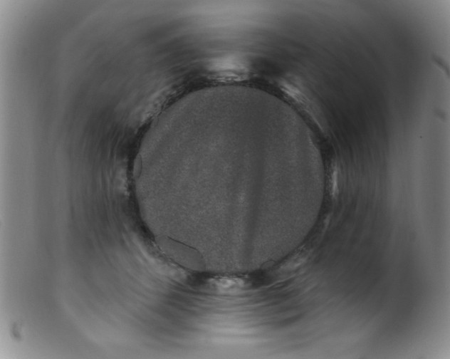 X0000099480512200805231859