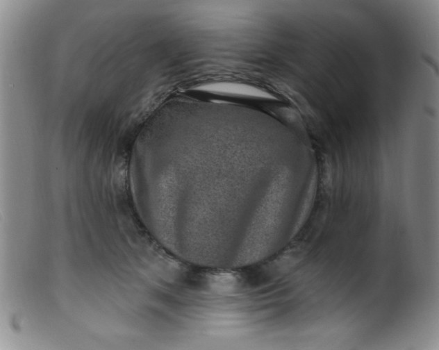X0000099480513200805231858