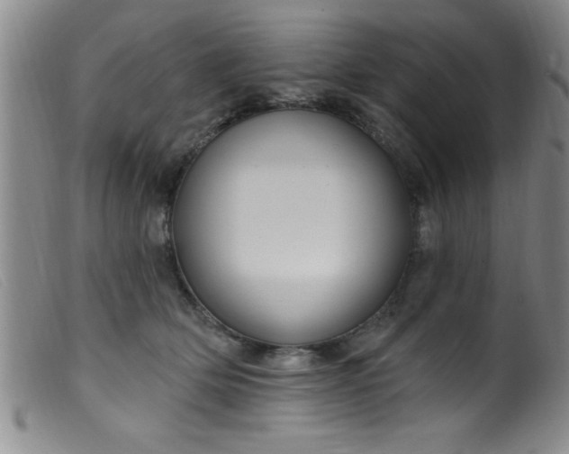 X0000099480514200805231858