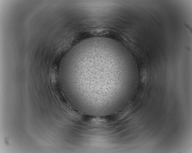 X0000099480515200805231858