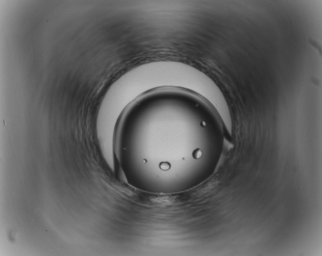 X0000099480516200805231858