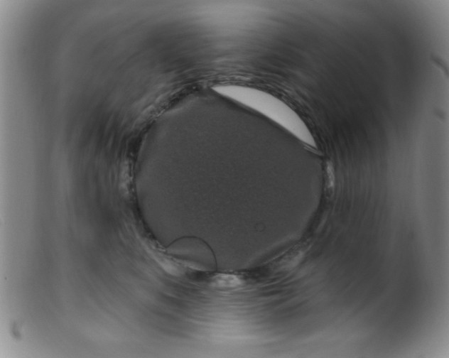 X0000099480519200805231858