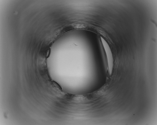 X0000099480521200805231858