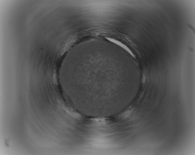X0000099480524200805231858