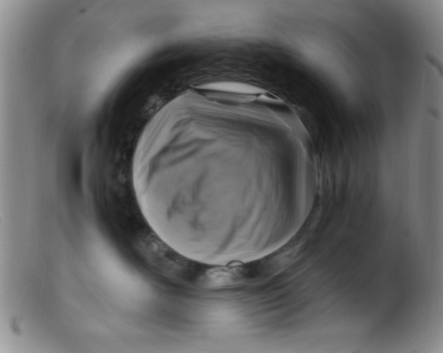 X0000099480526200805231858