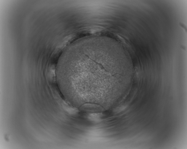 X0000099480527200805231858