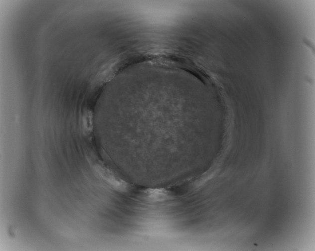 X0000099480528200805231858