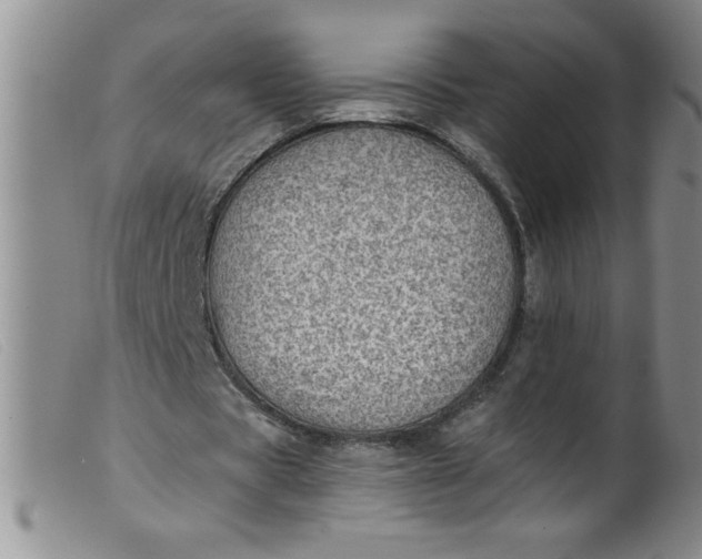 X0000099480529200805231858